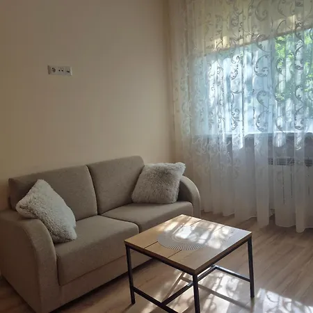 Apartment Near Border Crossing And College